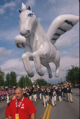 2022 OFFICIAL DVD OF THE PEGASUS PARADE / WAVE TV (NBC)